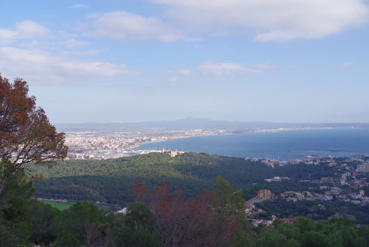 View from the hills over Palma and the Bay of Palma