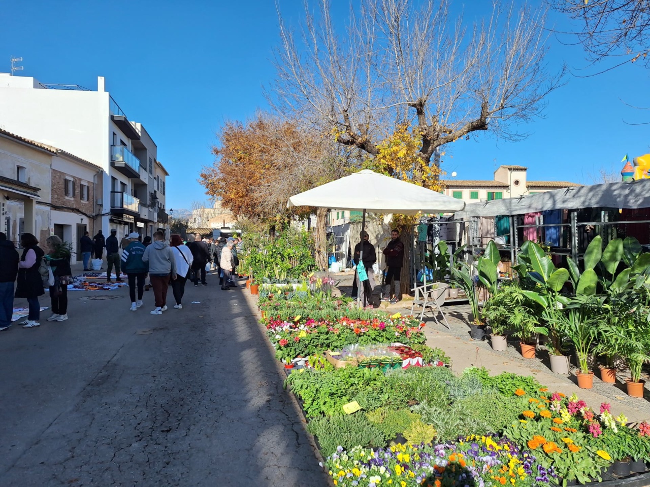 Ugemarkedet i Santa Maria del Cami
