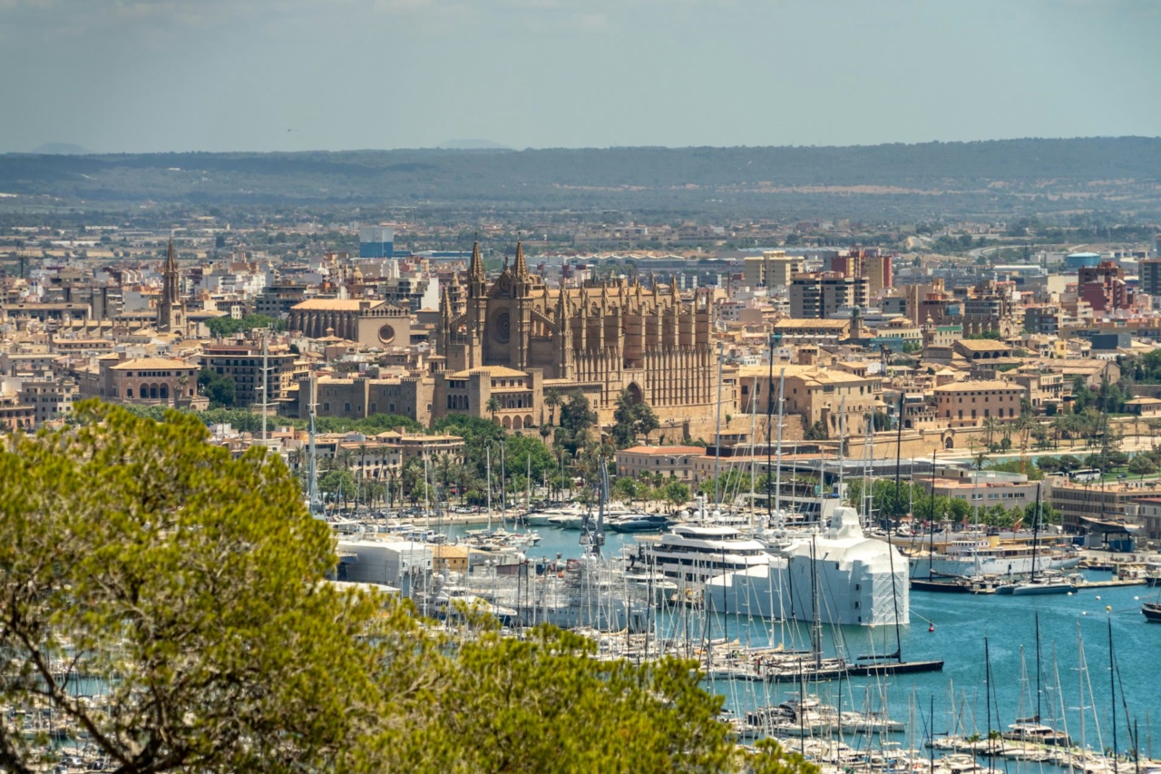 Blick über den Hafen auf die Altstadt von Palma mit der Kathedrale