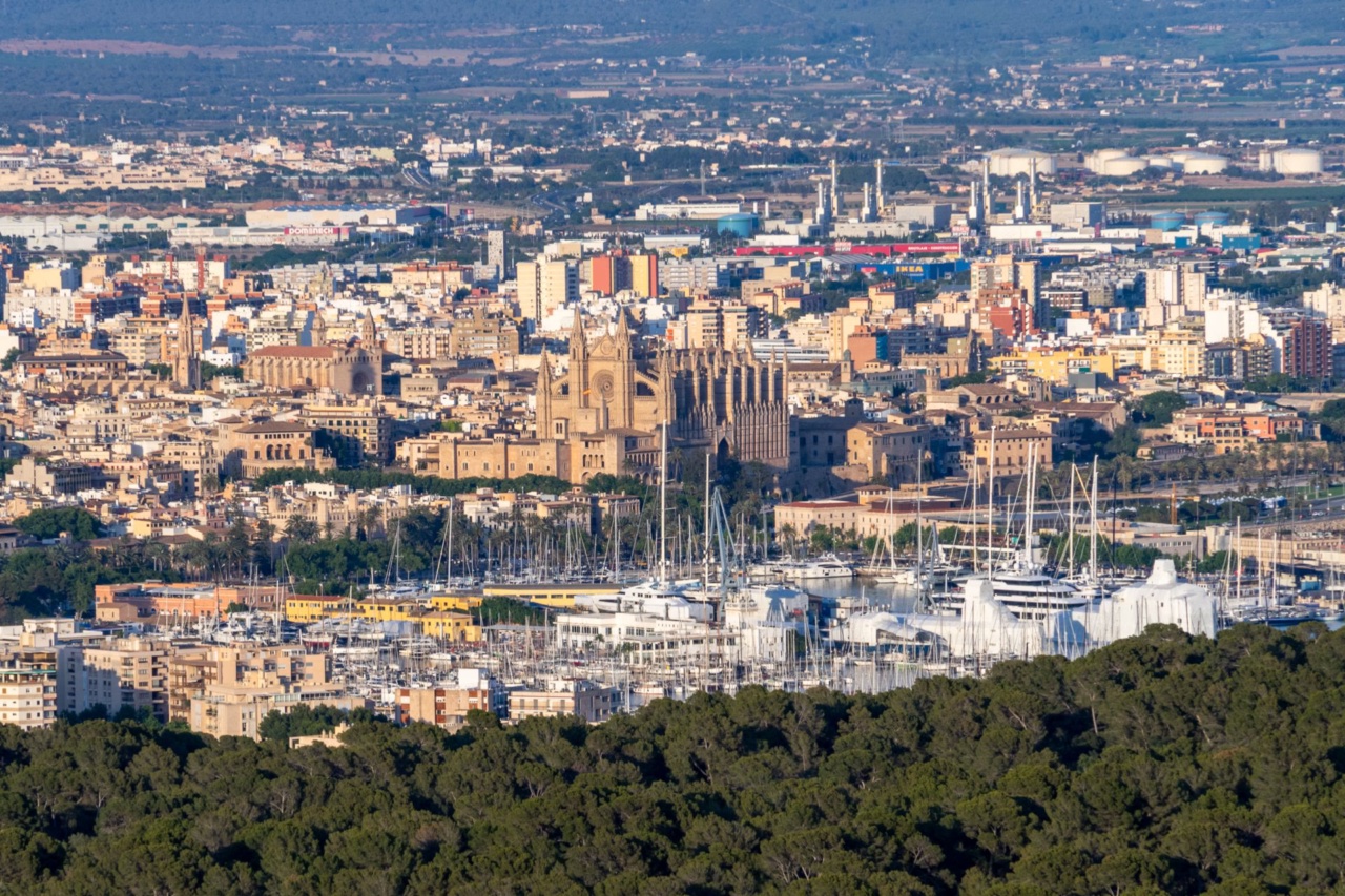 Vista su Palma con la cattedrale e il porto