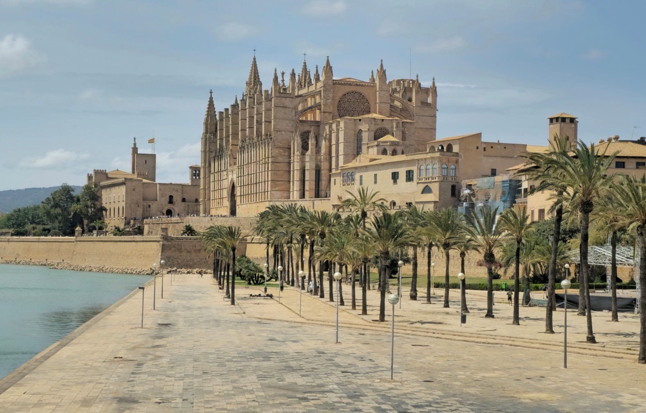 The cathedral of Palma behind the palm-lined promenade