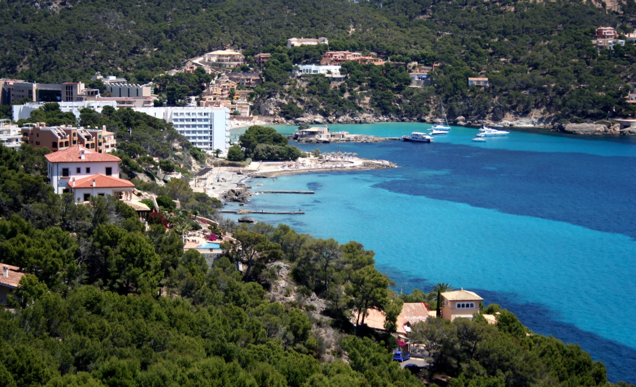 La baia di Camp de Mar, circondata da colline boscose