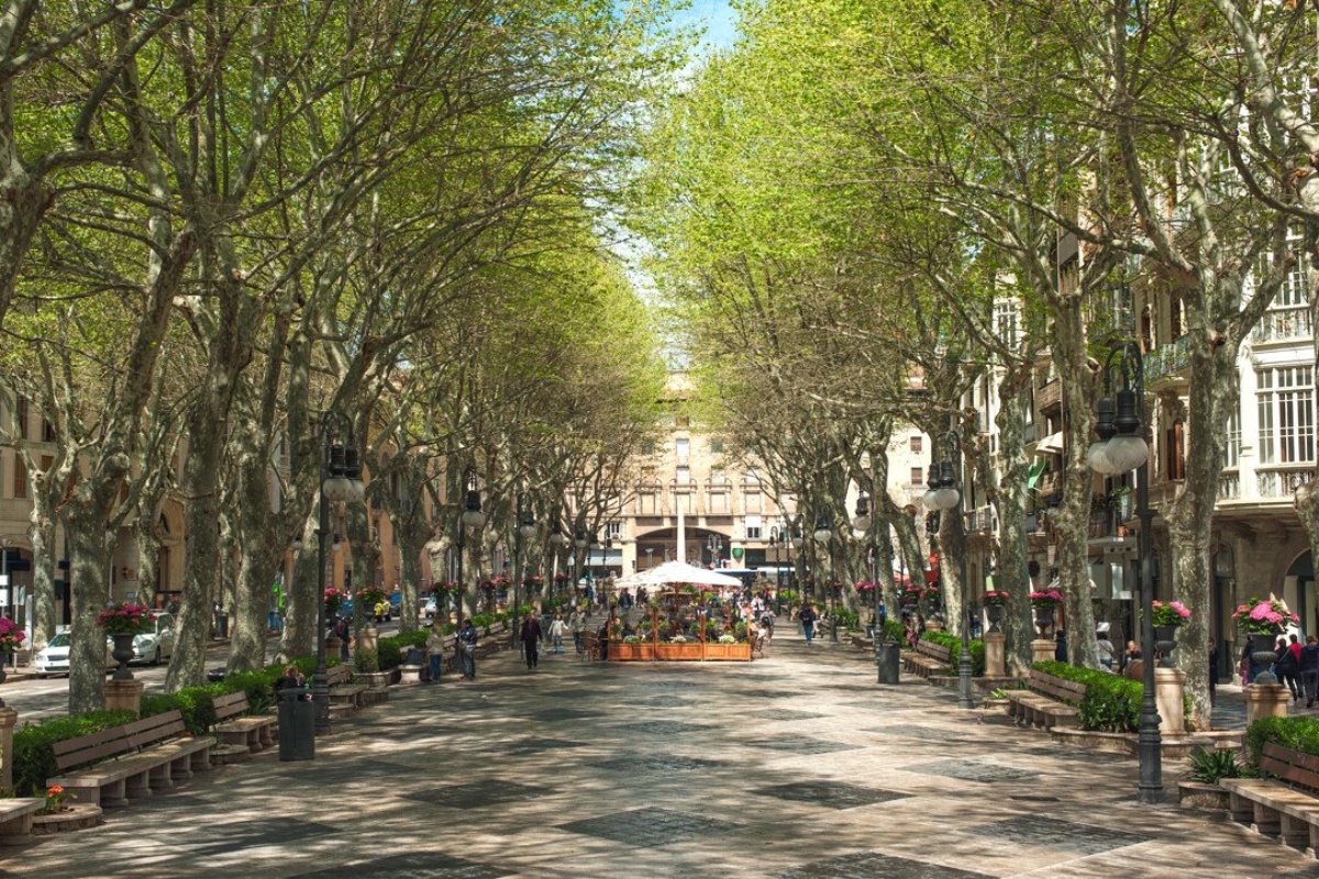 Moderne nybygget penthouselejlighed i centrum af Palma de Mallorca.
Forventet færdiggørelse ca. marts 2028 - Billede 19