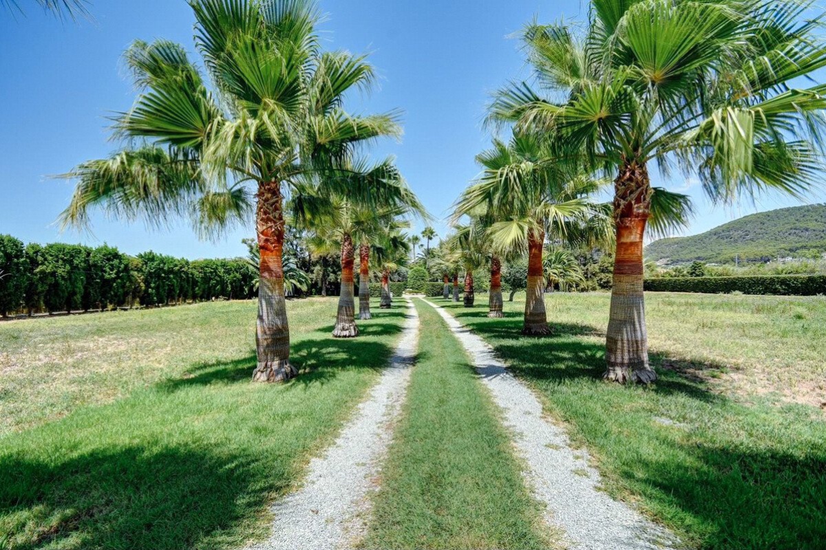 Oasi di palme in posizione privilegiata! Incantevole finca a due passi dal porto - Immagine 6