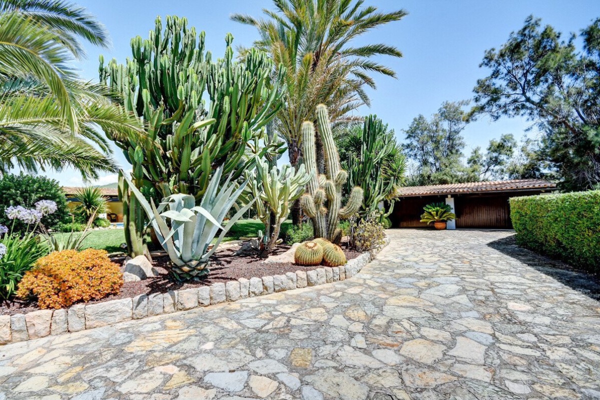 Oasi di palme in posizione privilegiata! Incantevole finca a due passi dal porto - Immagine 16