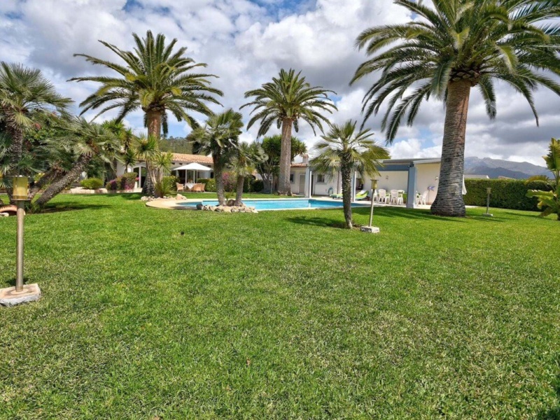 Palm Oasis in Prime Location! Idyllic Finca Within Walking Distance to the Harbor - Port d'Andratx - 4 Bedrooms, 213 m²