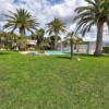 Palm Oasis in Prime Location! Idyllic Finca Within Walking Distance to the Harbor – 16