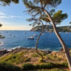 Apartamento único en primera línea de mar con acceso al mar en Port d’Andratx – 1